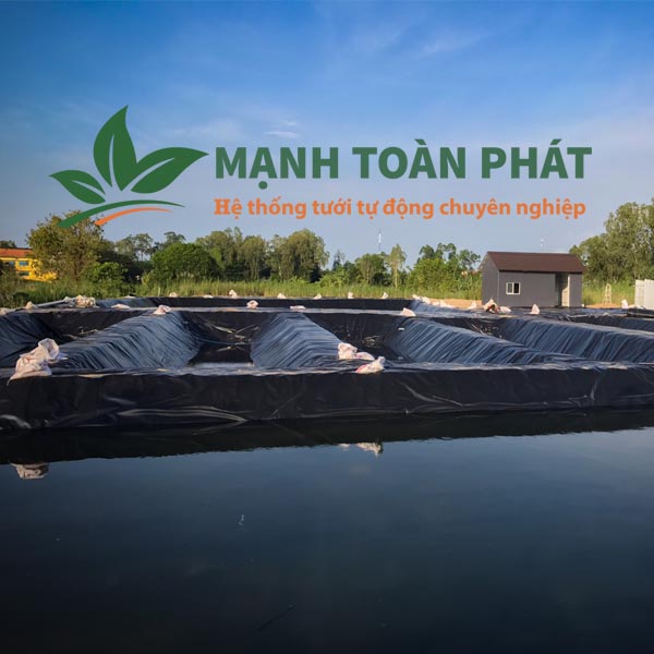 BẠT LÓT HỒ