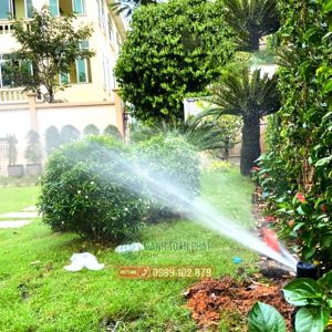 Béc tưới cảnh quan sân vườn